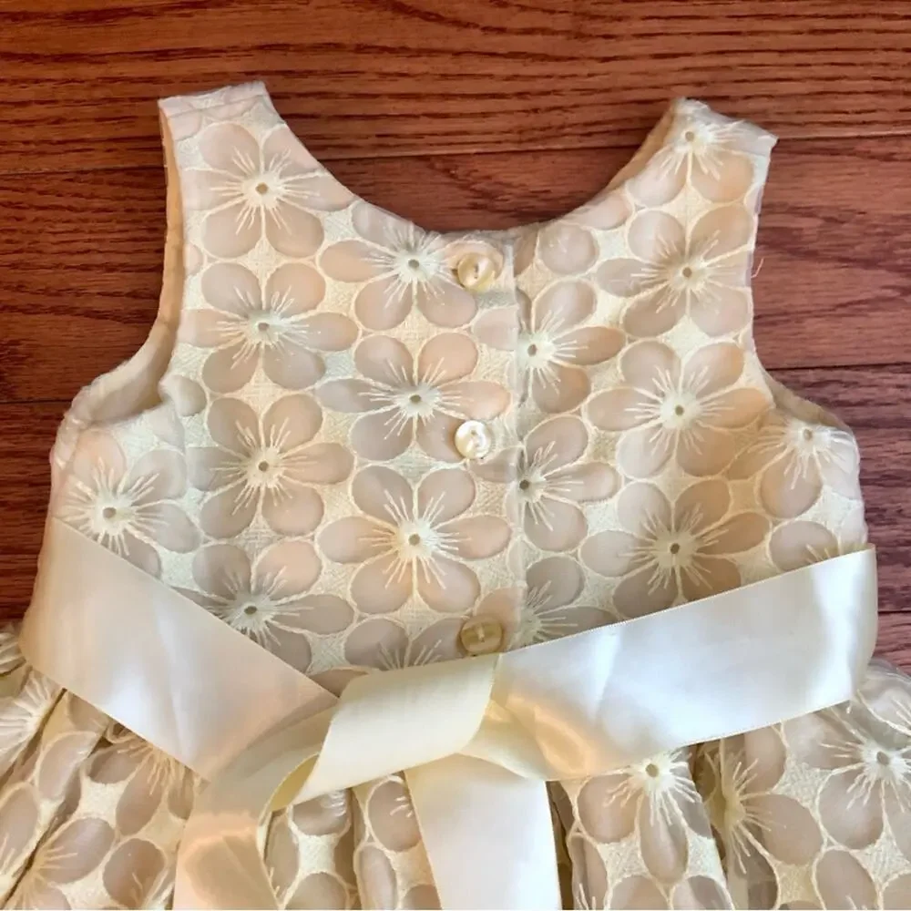 Youngland A-Line Embroidered Tulle Flower Aplique Sash Yellow Toddler Size 3